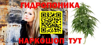 Альфа ПВП Тулун