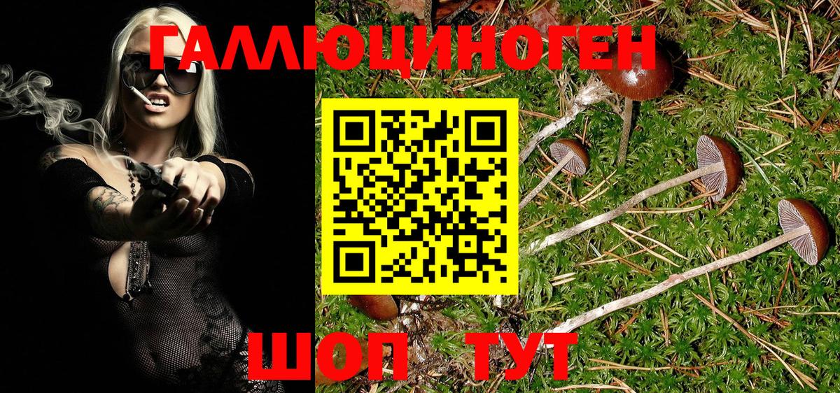 Галлюциногенные грибы Psilocybe  Вход с VPN  Новокубанск 